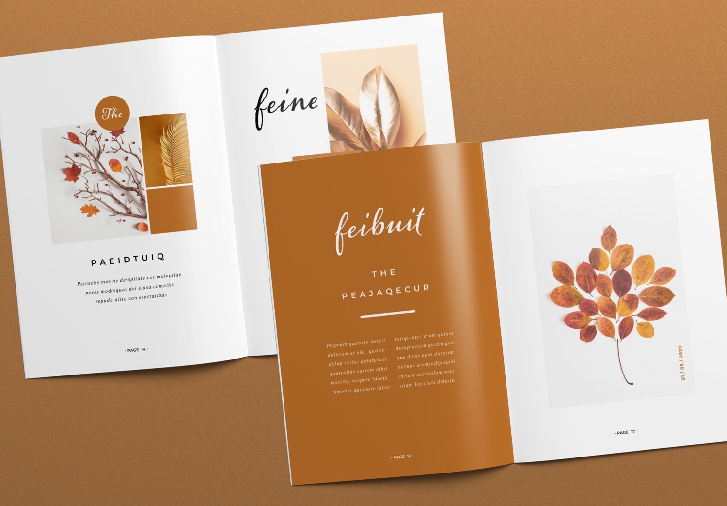 Preview Close Up of Brown Portfolio Template