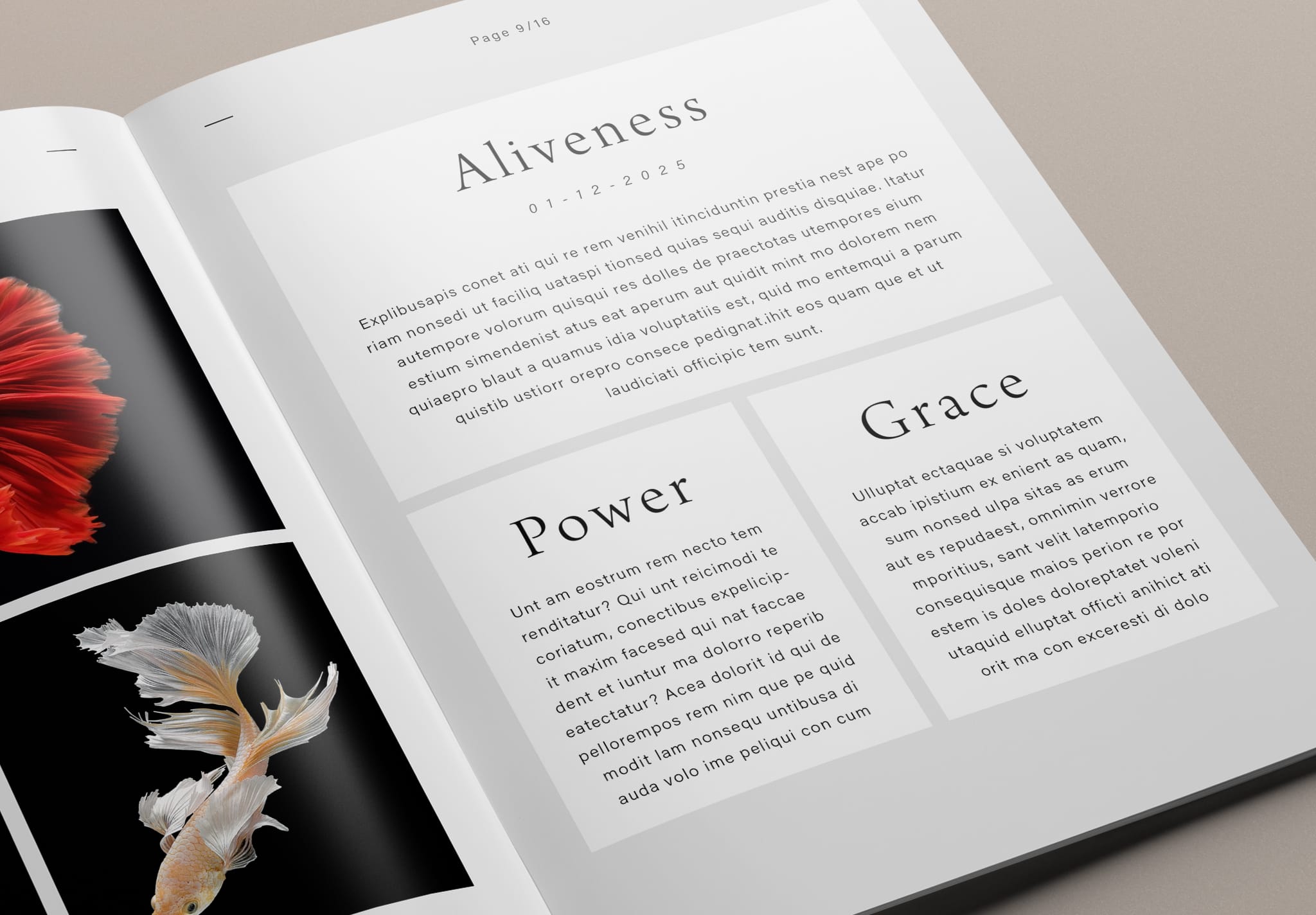 Minimal album photobook portfolio layout template